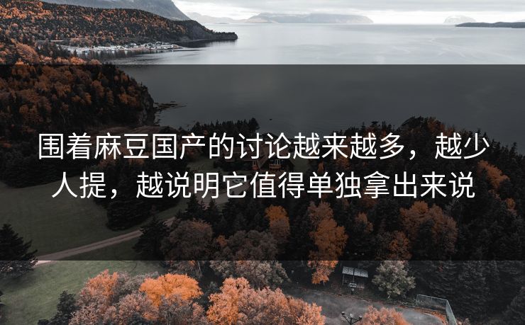 围着麻豆国产的讨论越来越多，越少人提，越说明它值得单独拿出来说