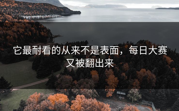 它最耐看的从来不是表面，每日大赛又被翻出来