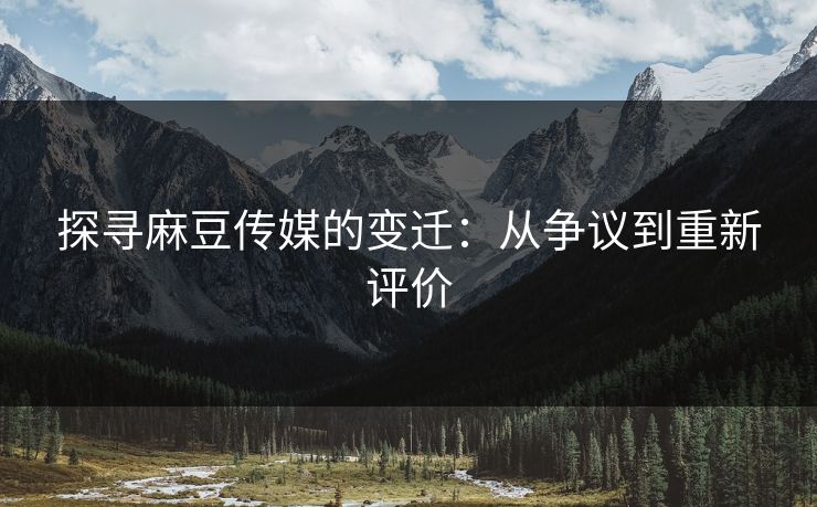 探寻麻豆传媒的变迁：从争议到重新评价